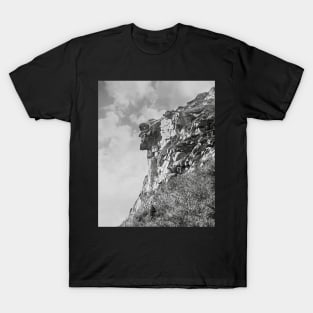 Old Man of The Mountain, 1901. Vintage Photo T-Shirt